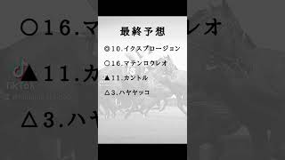 【中日新聞杯】高額配当狙い！最終予想と買い目発表！ぜひ、参考にしてください。#中日新聞杯#阪神ジュベナイルフィリーズ#競馬