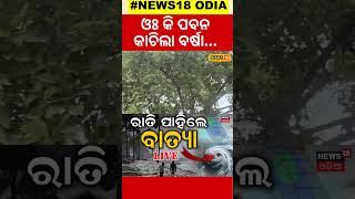 ମାଡ଼ି ଆସିଲା ବାତ୍ୟା, କାଚିଲା ବର୍ଷା...Viral Shorts| Odisha Cyclone| Cyclone Dana Track| puri #local18