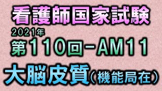 【看護師国家試験・第110回午前11問目】大脳皮質の機能局在