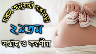 সপ্তাহ অনুযায়ী গর্ভাবস্থা ২৯ সপ্তাহ | soptaho onujayi gorvabostha 29 | 29 week pregnancy in bangla