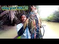 tak menunggu lama umpan turun langsung dimakan udang galah besar spot terbaik mancing udang galah