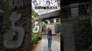 Visiting Dehradun Zoo (Snakes 🐍, leopard 🐆, deer 🦌)#shorts#zoo #animals #danger