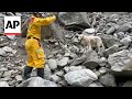 Rescue dog finds dead body on Taiwan's Shakadang Trail after earthquake