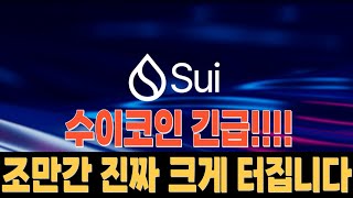 SUI 수이 코인 긴급입니다. 조만간 크게 터질테니 무조건 대비하시고 \