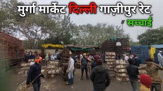 ग़ाज़ीपुर मुर्ग़ा बाज़ार रेट दिल्ली 2025|Ghazipur Murga Mandi Delhi Today Price|wholesale price desi