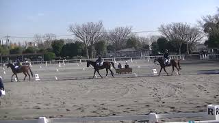 【第53回関東高等学校自馬競技大会】部班馬場馬術　菅沼幹(高1)・薫桜　木島健太郎(高1)・矛桜