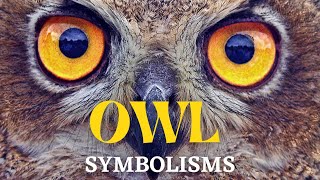 🦉What Does It Mean When You See An OWL? | Owl Symbolisms and Spiritual Meanings