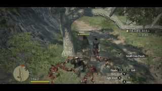 Dragon's Dogma - Gameplay Walkthrough Part 1 Dragon's Dogma - Gameplay Walkthrough Part 1