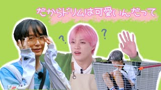 可愛すぎて保護したいドリムちゃん達(ごくごくごく一部)【日本語字幕 / NCT DREAM / NCT】