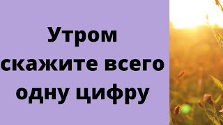 Утром скажите всего одну цифру. | Тайна Жрицы |