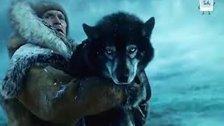 Dogs never leave the faithful creature. Movie Togo 2019 | Song Unstopable by Sia | Adventure
