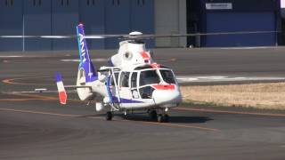 AIRBUS AS365 Takeoff \u0026 Landing JA66NH