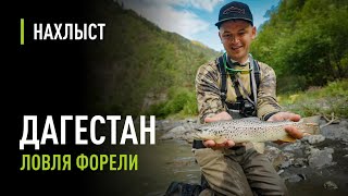 Ловля ФОРЕЛИ в горных реках ДАГЕСТАНА. Крутая природа, тактика ловли, мушки для форели.