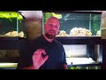 aquarium ph everything you need to know