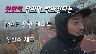 천천히 달리면 빨라진다는 MAF 훈련 테스트| 마프훈련 [해볼라꼬 해볼끼야 ep.1] 초보러너 장거리 달리기 훈련법