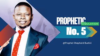 PROPHETIC SIMULATION No. 5 | PROPHET SHEPHERD BUSHIRI