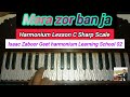 mara zor ban ja harmonium tutorial irfan moris