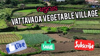 Vattavada vegetable village/വട്ടവട