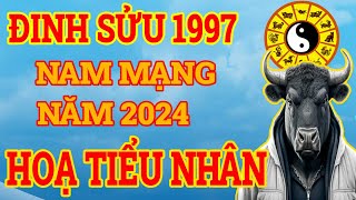 🔴 Tử Vi Năm 2024 Tuổi Đinh Sửu 1997 Nam Mạng Tài Lộc, Sự Nghiệp Giàu Cỡ Nào?