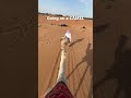 Going on a CAMEL #shorts #vlog