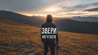 ЗВЕРИ - МЕЧТАЕМ (Текст песни)