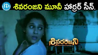 Rashmi Gautam Gets Scared | Sivaranjani Latest Telugu Movie Scenes | Nandu | iDream Movies
