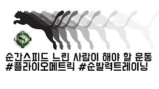 스피드가 빨라지는 트레이닝 10가지