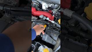 Proper way of checking your Subaru’s engine oil #sti #automobile #subaruwrx #subarusti #subaru