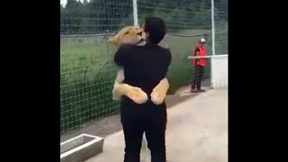 Lion Sees His Adoptive Dad After 10 Years... (SHOCKING)