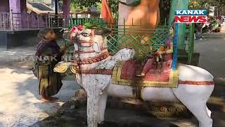 Mandhata Baba Shiva Temple at Maneswar,  Tortoises Are Being Worshiped Even, Reaction of Devotees