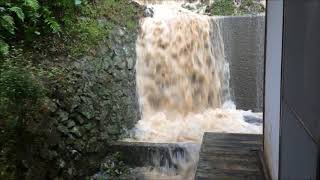 オナゴバターズ豪雨後正立寺