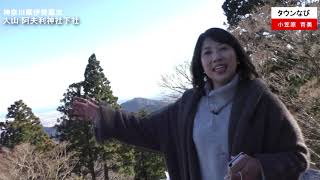 大山　阿夫利神社下社さん（神奈川県伊勢原市）