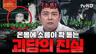 [#프리한19] 🗣️: 혹시 이런 이야기 들어본 적 있어? 전 세계를 뒤흔들었던 괴담의 진실 | #티전드