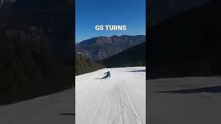Dynastar Speed Course GS carving turns