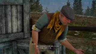 [PS4 PRO]  FF15 絶滅絶滅危惧種 黒チョコボ