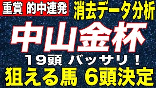 中山金杯 2020 消去データ分析予想 ！【厳選馬6頭決定】19頭が消える！今年初重賞！【京都金杯 競馬 予想 】