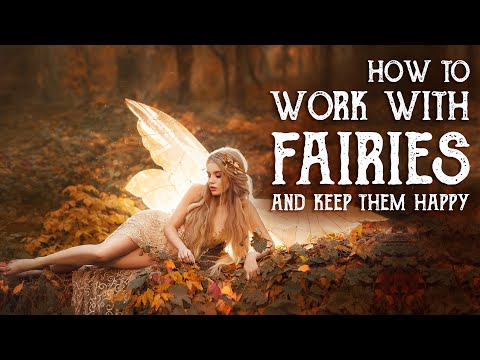 What do house fairies do?