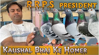 Kaushal Bhai Ke ￼Racer Pigeons | X Fighter Birds