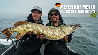 XXL HECHTE am  Plauer See 🇩🇪 | zu Gast bei den MÜRITZFISCHER