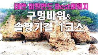 94.태안 구멍바위.솔향기길 1코스10Km트레킹.드론영상.