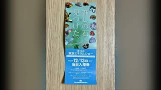 第33回東京ミネラルショー2024に行ってみた。ミネショは初めて行ったから…