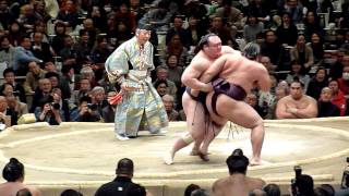 Takarafuji (1-3) - Endo (3-1) , Sumo : Hatsubasho '14