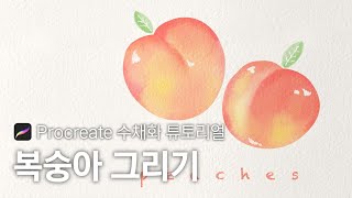 아이패드 수채화 복숭아 그리기 / 프로크리에이트 드로잉