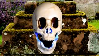 Animated Talking Skull - Halloween Decoration | trendyhalloween.com