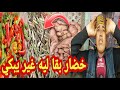 🔴  صاادم ..😥خضار بقا ليه غير يبكي ... 😳الخضرة كلها خسرات ليه و الشاري ما كاينش ⁉️