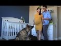 9 months in 90 seconds: A pic a day pregnancy