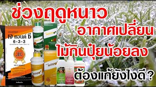 ฤดูหนาว อากาศเปลี่ยน ไม้ไม่กินปุ๋ย แก้ไขยังไงดี // คลิก: BurinOnline.org