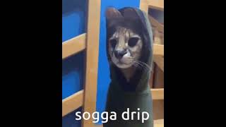 me when it is sogga sunday