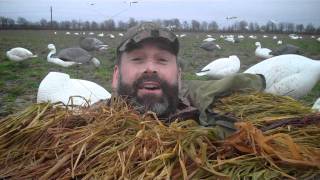 DU Light Goose Migration Headquarters