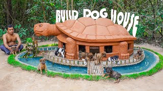Dog Rescue Build Dog House In Turtle House Style And Aquarium Fish Pond